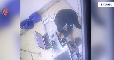 Vodhi para e sende me vlerë në disa biznese, arrestohet 27-vjeçari në Shijak