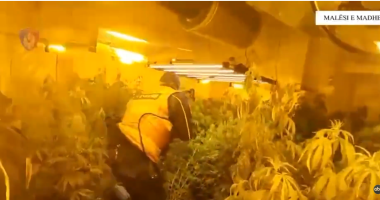 Zbulohet “shtëpi bari” në Shkodër/ Arrestohen dy kushërinjtë, në kërkim i treti