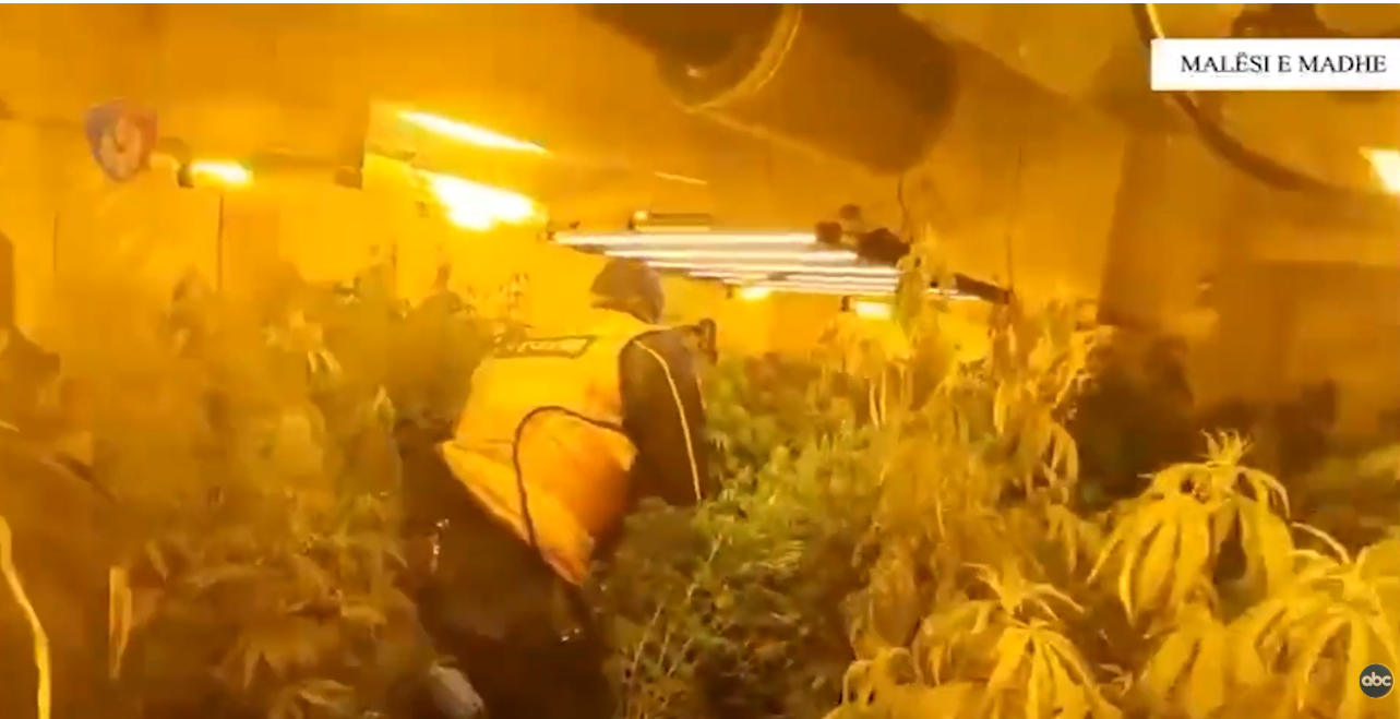 Zbulohet “shtëpi bari” në Shkodër/ Arrestohen dy kushërinjtë, në kërkim i treti