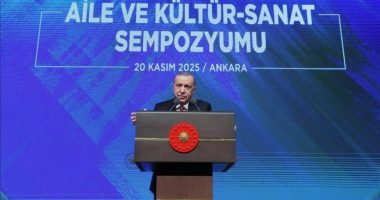 Turqi, Erdogan e konsideron ‘katastrofë’ rënien e shkallës së lindshmërisë