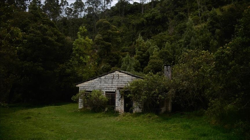 Kompanitë në Japoni përdorin satelitë dhe inteligjencë artificiale për të gjetur shtëpi të braktisura për t i shitur