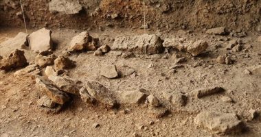 Kenia, zbulohen vegla guri rreth 2.5 milionë vjeçare