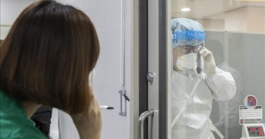 Zbulohet rasti i pestë i gripit të shpendëve me patogjenitet të lartë në Korenë e Jugut