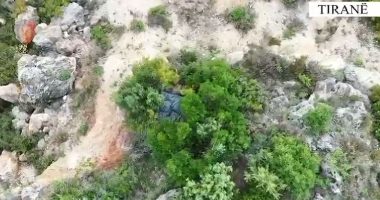 VIDEO/ Gati për shitje, sekuestrohet kanabis në një zonë malore, në pranga organizatori