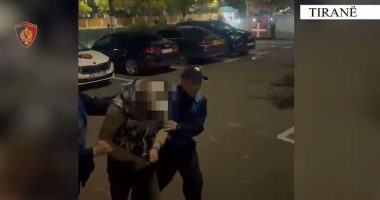 I dënuar më parë në Greqi/ Vodhi 12 milionë lekë në një banesë në Tiranë, pranga 37-vjeçarit