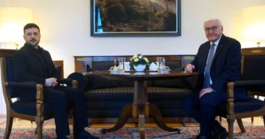 Në kërkim të paqes…/ Zelensky me presidentin e Gjermanisë: Duam garanci dhe rimëkëmbje ekonomike