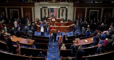 SHBA/ Dhoma e Përfaqësuesve miraton projektligjin që kriminalizon tranzicionin gjinor për të miturit