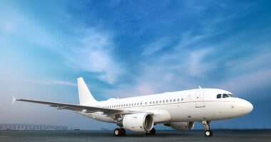 Shqipëria bëhet me avion shtetëror/ Dhurata e Erdogan: Airbus 319 VIP,12 milionë euro