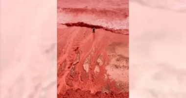 Ishulli Hormuz shndërrohet në xhevahir të kuq/ Iran, reshjet e shiut transformojnë vijën bregdetare