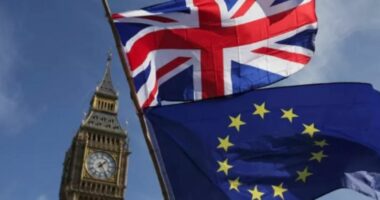 Mbretëria e Bashkuar rikthehet në programin Erasmus