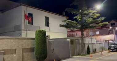 Ngjarje e rëndë në Pogradec/ E mitura shtatzënë pas abuzimit, autori dyshohet një 70-vjeçar