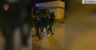 Kërcënonte qytetarët me armë zjarri dhe thyente xhamat makinave, arrestohet i riu në Kurbin
