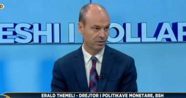 Drejtori i politikave monetare në Bankën e Shqipërisë: Kredia në lekë dominon tregun, forcimi i monedhës vendase vijoi edhe në 2025