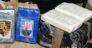 Fshehur në ngarkesën me arra, sekuestrohen 435 kg kokainë në Itali