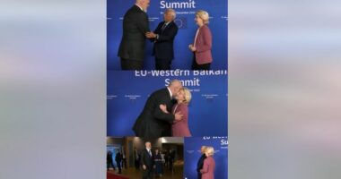 Samiti BE–Ballkani Perëndimor, kryeministri Rama ndan videokartolinë