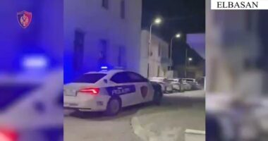 Plagosi me thikë vëllain/ Elbasan, arrestohet 35-vjeçari