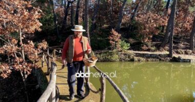 Pasioni i veçantë për kërpudhat/ Flet grumbulluesi Ermal Duka: “Gjuetinë” e nis pas kafes së mëngjesit