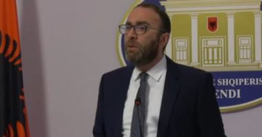 Bardhi: Fajin e ka Saliu/ Korrigjon Berishën: Çështjen Shabani e çojmë në Kushtetuese