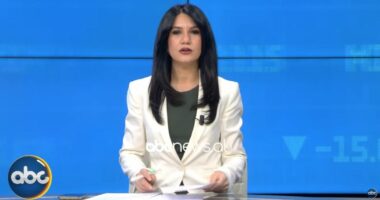 Money Report me Genta Dobra, (15/12/2025)