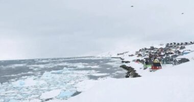 Trump rikthen përplasjet me Danimarkën pas emërimit të një të dërguari special për Groenlandën