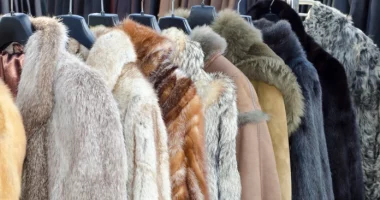 Polonia i jep fund prodhimit të veshjeve prej gëzofi