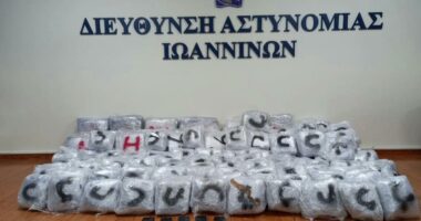 FOTOLAJM/ Kapen 215 kg marijuanë në Janinë, shqiptarja përplaset me policinë