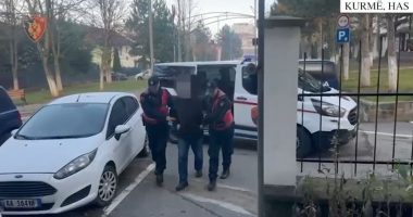 Tentoi të vriste me mjet prerës 60-vjeçarin/ Has, arrestohet 62-vjeçari