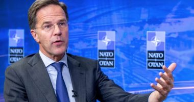Rutte: Anëtarësimi i Ukrainës në NATO do të trajtohet veçmas