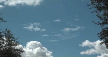 Parashikimi i motit, 19 dhjetor 2025