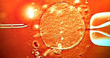 Dhuroi spermë… dhe kancer/ Materiali gjenetik u përdor për ngjizjen e rreth 200 fëmijëve