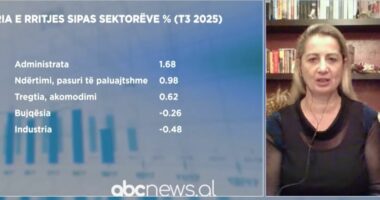 Bilanci i ekonomisë 2025/ Nunaj: Pa vizion afatgjatë, ekonomia shqiptare mbetet në tranzicion