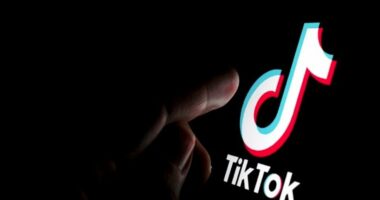 TikTok shmang ndalimin në SHBA