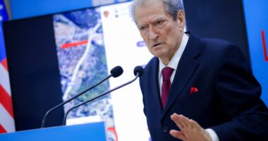 Berisha merr pushimet/ “Revolucioni blu” vazhdon pas festave