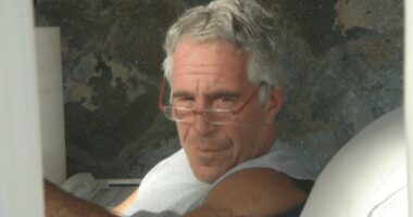 Kush dhe çfarë përfshihet në dosjet Epstein?