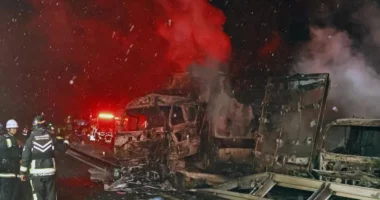 VIDEO/ Aksident masiv në Japoni mes 67 automjeteve, raportohet për të vdekur