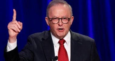 Masakra në Australi, kryeministri Albanese: Ligje më të ashpra për armët