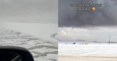 Shkretëtira e Arabisë Saudite zbardhet nga dëbora