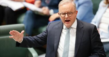 Kryeministri australian: Masa të reja kundër gjuhës së urrejtjes pas sulmit në Sidney