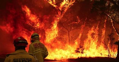 Australia në flakë, regjistrohet viktima e parë dhe mbi 90 vatra zjarri