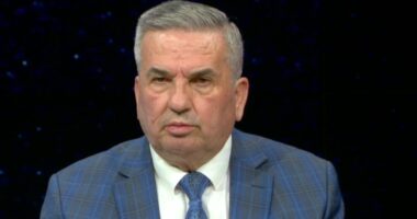 “Për protestën u shpenzuan 1 milion euro”, Beqiri: Fitorja e Berishës, numri i militantëve u barazua me të policëve
