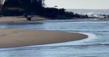 Bregdeti i Semanit po zhduket/ Specialistët: Për shkak të erozionit deti përparon çdo vit me 20 metra