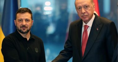 Erdogan: Paqja në Ukrainë nuk është larg