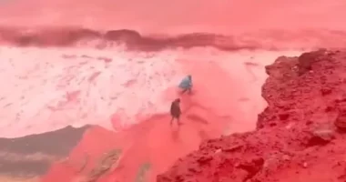 Wirtual Wars me Jeta Kasemi, (17/12/2025)