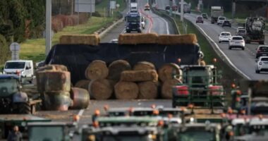 Qeveria franceze bën thirrje për pezullim të protestave të fermerëve në Krishtlindje