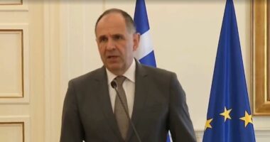 Ministri grek, konferencë me Spiropalin: Shqipëria, progres për në BE. Të drejtat e minoritetit grek, përparësi për ne