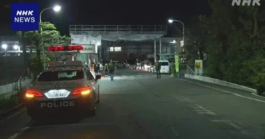 Sulm me thikë në një fabrikë në Japoni, të paktën 14 të plagosur