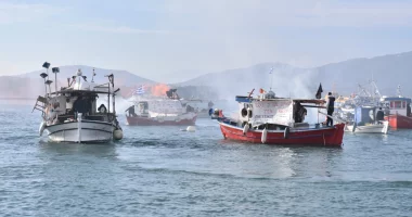 VIDEO/ Greqia në kaos, bllokohet Porti i Volos, fermerët e blegtorët bllokada në zona të ndryshme të vendit