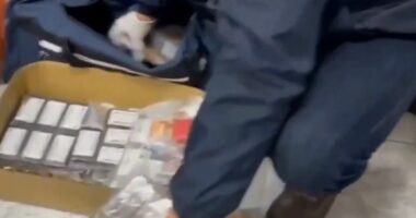 Operacion antidrogë në Itali/ Sekuestrohet 1.4 ton lëndë narkotike, mbi 380 të arrestuar