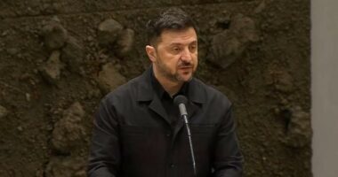 Zelensky: Bisedimet SHBA-Ukrainë ishin shumë intensive dhe të detajuara