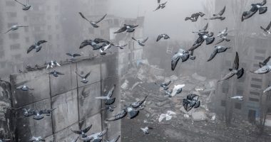 Raporti i OKB: Të paktën 226 civilë ukrainas të vrarë nga Rusia në nëntor